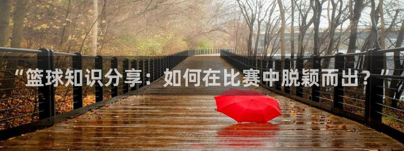 “篮球知识分享：如何在比赛中脱颖而出？”