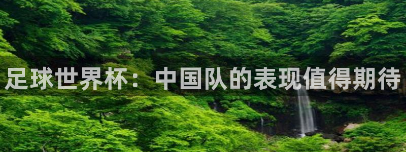 足球世界杯：中国队的表现值得期待