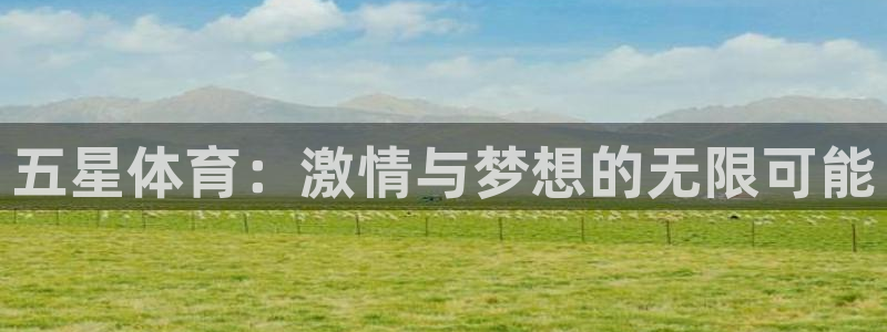 五星体育：激情与梦想的无限可能
