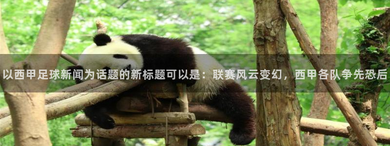 以西甲足球新闻为话题的新标题可以是：联赛风云变幻，西甲各队争先恐后