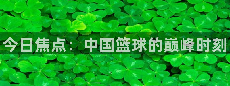 今日焦点：中国篮球的巅峰时刻