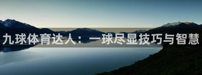 九球体育达人：一球尽显技巧与智慧