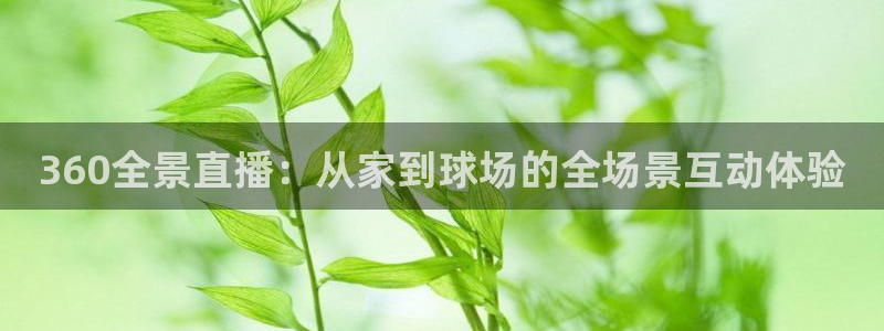 360全景直播：从家到球场的全场景互动体验