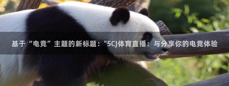基于“电竞”主题的新标题：\