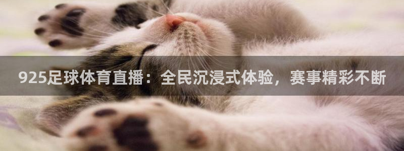 925足球体育直播：全民沉浸式体验，赛事精彩不断
