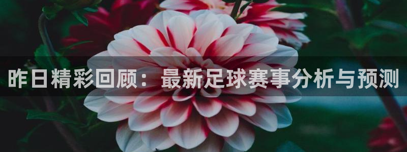 昨日精彩回顾：最新足球赛事分析与预测
