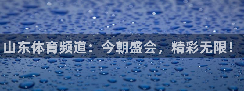 山东体育频道：今朝盛会，精彩无限！