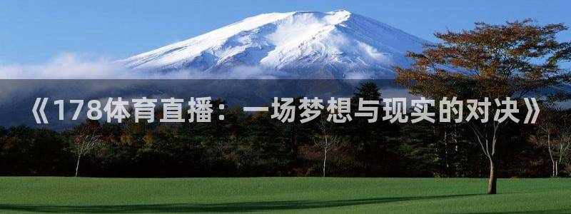 《178体育直播：一场梦想与现实的对决》