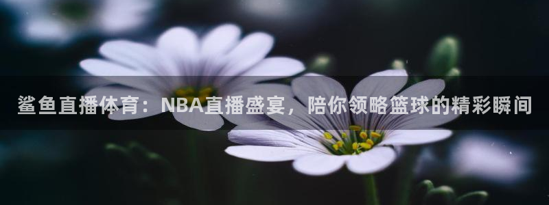 鲨鱼直播体育：NBA直播盛宴，陪你领略篮球的精彩瞬间