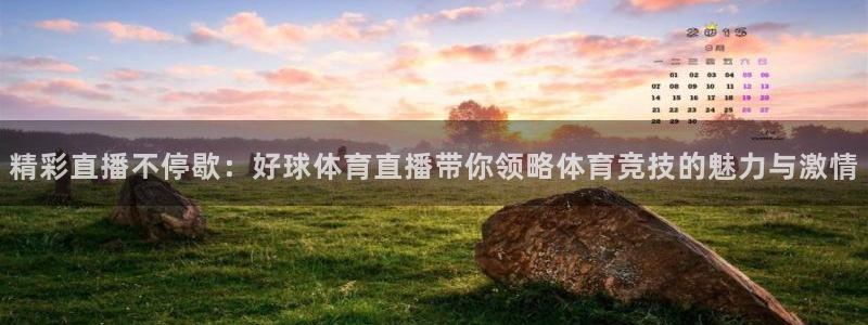 精彩直播不停歇：好球体育直播带你领略体育竞技的魅力与激情