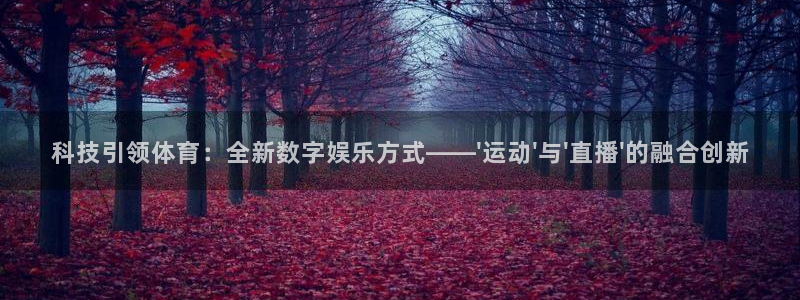 科技引领体育：全新数字娱乐方式——\'运动\'与\'直播\'的融合创新
