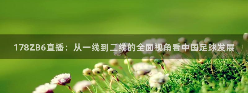 178ZB6直播：从一线到二线的全面视角看中国足球发展