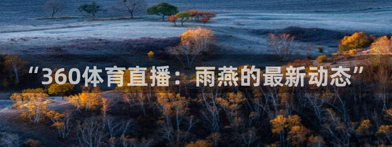 “360体育直播：雨燕的最新动态”