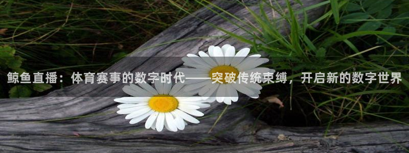 鲸鱼直播：体育赛事的数字时代——突破传统束缚，开启新的数字世界