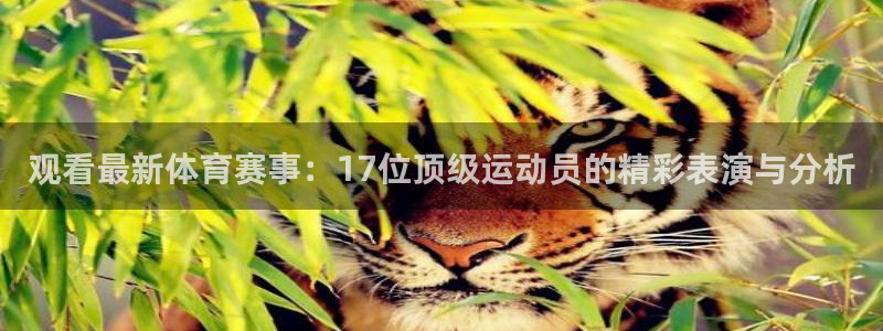 观看最新体育赛事：17位顶级运动员的精彩表演与分析