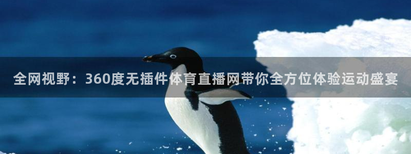 全网视野：360度无插件体育直播网带你全方位体验运动盛宴