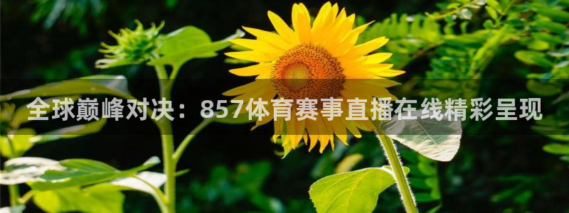 全球巅峰对决：857体育赛事直播在线精彩呈现
