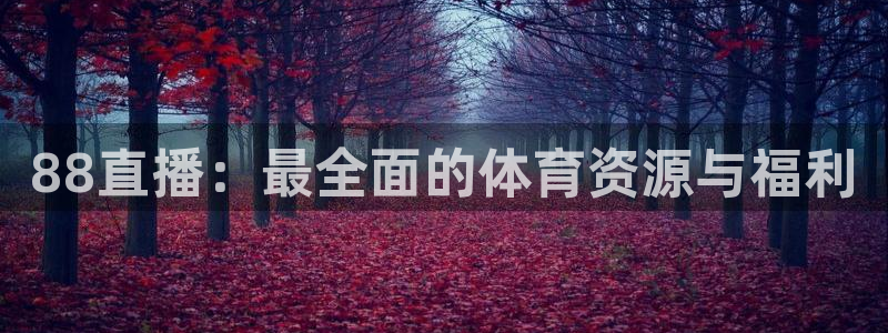 88直播：最全面的体育资源与福利