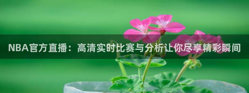 NBA官方直播：高清实时比赛与分析让你尽享精彩瞬间