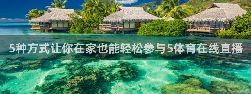 5种方式让你在家也能轻松参与5体育在线直播
