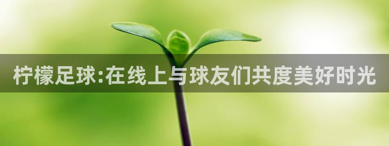 柠檬足球:在线上与球友们共度美好时光