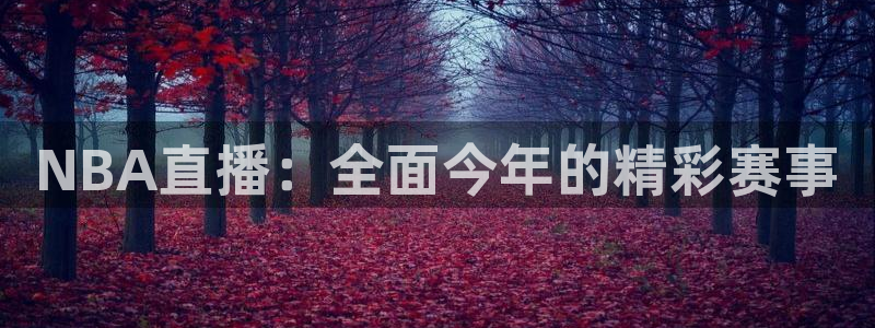 NBA直播：全面今年的精彩赛事