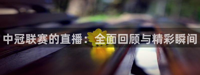 中冠联赛的直播：全面回顾与精彩瞬间