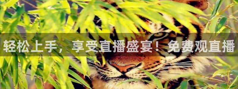轻松上手，享受直播盛宴！免费观直播