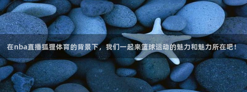 在nba直播狐狸体育的背景下，我们一起来篮球运动的魅力和魅力所在吧！