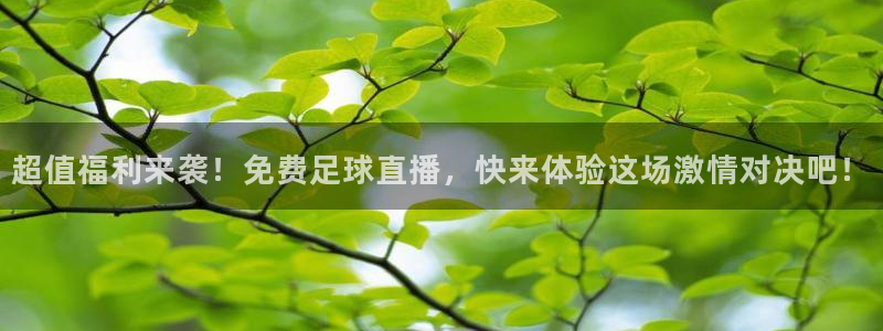 超值福利来袭！免费足球直播，快来体验这场激情对决吧！