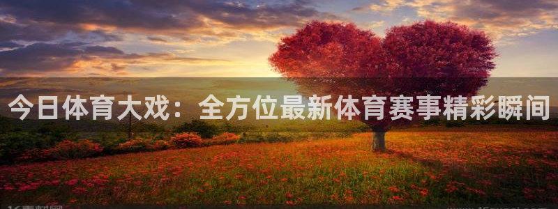 今日体育大戏：全方位最新体育赛事精彩瞬间