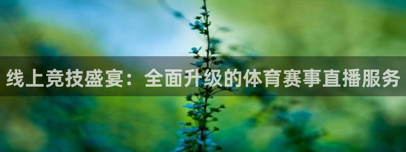线上竞技盛宴：全面升级的体育赛事直播服务