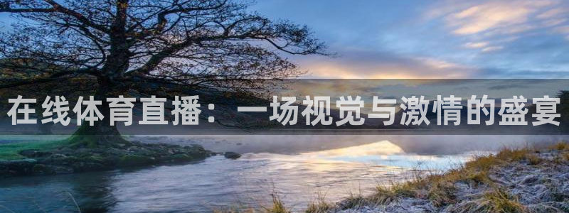 在线体育直播：一场视觉与激情的盛宴