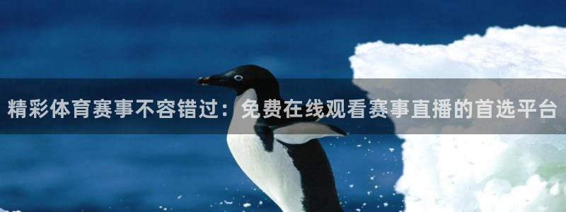 精彩体育赛事不容错过：免费在线观看赛事直播的首选平台