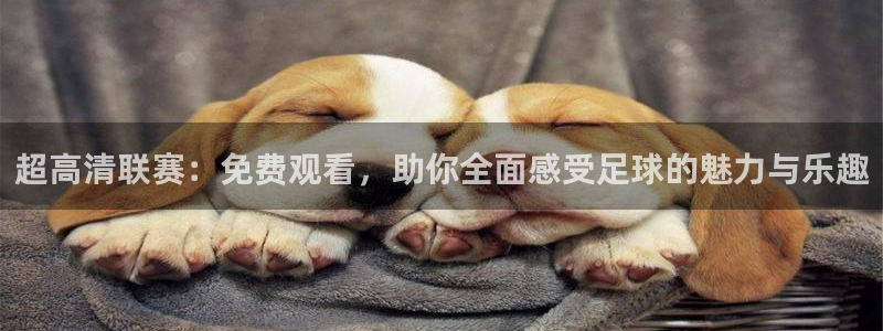 超高清联赛：免费观看，助你全面感受足球的魅力与乐趣