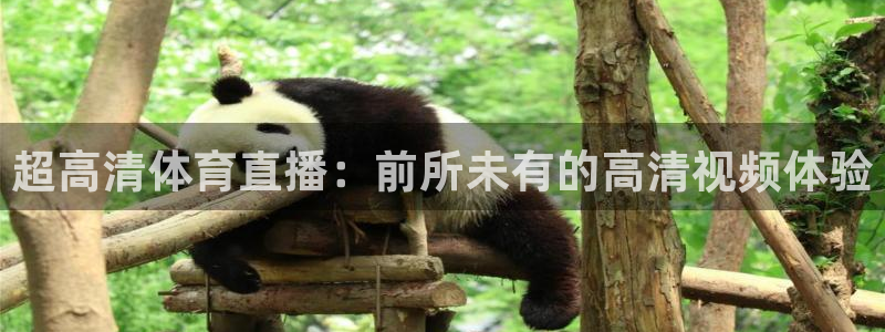 超高清体育直播：前所未有的高清视频体验