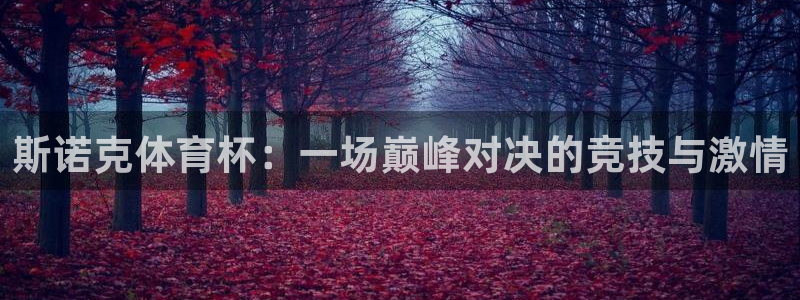 斯诺克体育杯：一场巅峰对决的竞技与激情