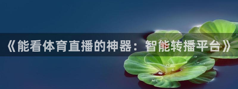 《能看体育直播的神器：智能转播平台》