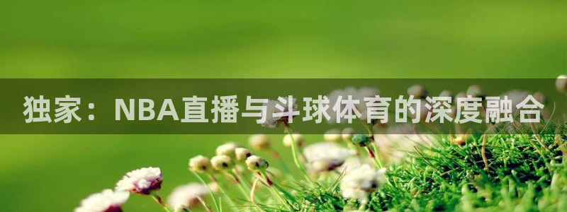 独家：NBA直播与斗球体育的深度融合