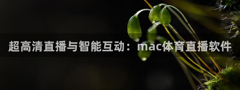 超高清直播与智能互动：mac体育直播软件