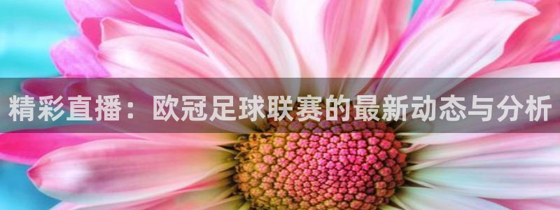 精彩直播：欧冠足球联赛的最新动态与分析