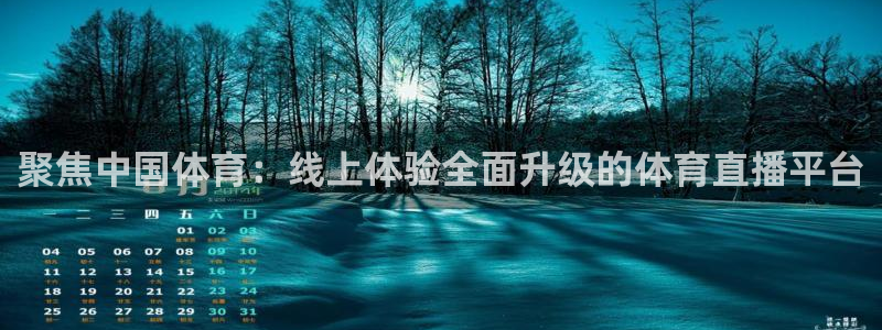 聚焦中国体育：线上体验全面升级的体育直播平台