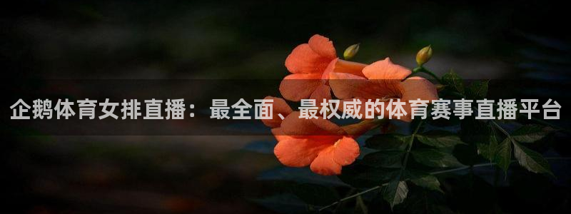 企鹅体育女排直播：最全面、最权威的体育赛事直播平台