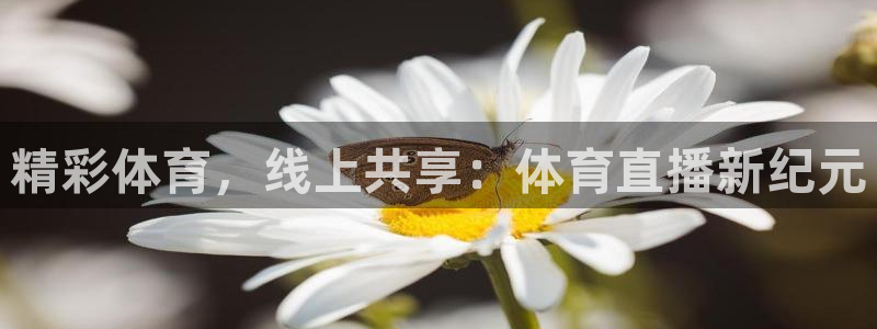 精彩体育，线上共享：体育直播新纪元