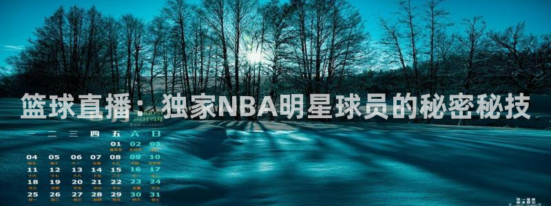 篮球直播：独家NBA明星球员的秘密秘技