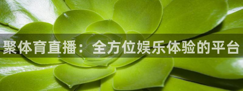 聚体育直播：全方位娱乐体验的平台