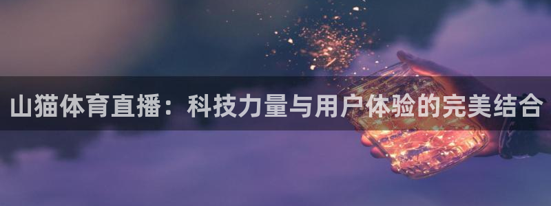 山猫体育直播：科技力量与用户体验的完美结合