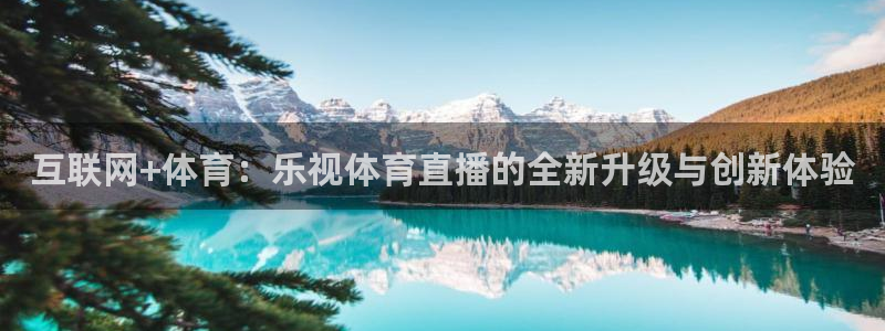互联网+体育：乐视体育直播的全新升级与创新体验