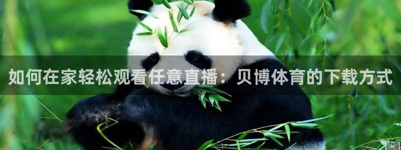如何在家轻松观看任意直播：贝博体育的下载方式
