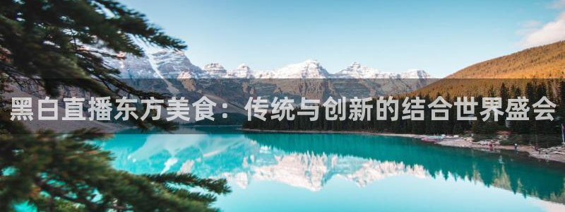 黑白直播东方美食：传统与创新的结合世界盛会